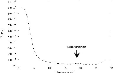 \includegraphics[%
width=14cm,
height=9cm]{temperatuursexp/15-30/19u/p06as814.ps}