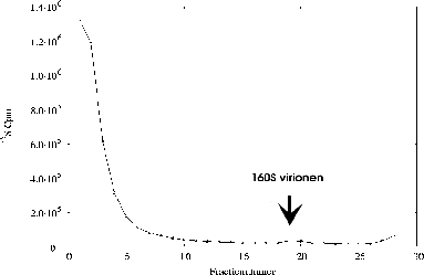 \includegraphics[%
width=14cm,
height=9cm]{temperatuursexp/15-30/19u/p06as815.ps}