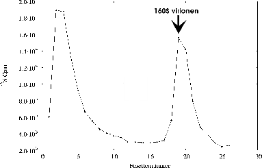 \includegraphics[%
width=14cm,
height=9cm]{temperatuursexp/15-30/19u/IP/3/p06as831.ps}