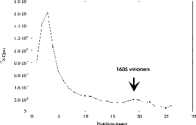 \includegraphics[%
width=14cm,
height=9cm]{temperatuursexp/15-30/2-5u/IP/5/p06as825.ps}