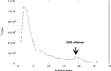 \includegraphics[%
width=14cm,
height=9cm]{temperatuursexp/15-30/2-5u/IP/6/p06as806.ps}