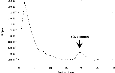 \includegraphics[%
width=14cm,
height=9cm]{tempexpII/15-30/2-8/IP/4/p06as878.ps}