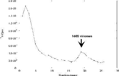 \includegraphics[%
width=14cm,
height=9cm]{tempexpII/15-30/2-8/IP/6/p06as879.ps}