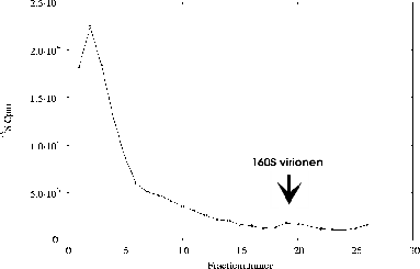 \includegraphics[%
width=14cm,
height=9cm]{tempexpII/15-30/5-19/IP/3/p06as901.ps}