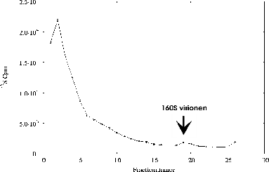 \includegraphics[%
width=14cm,
height=9cm]{tempexpII/15-30/5-19/IP/5/p06as905.ps}